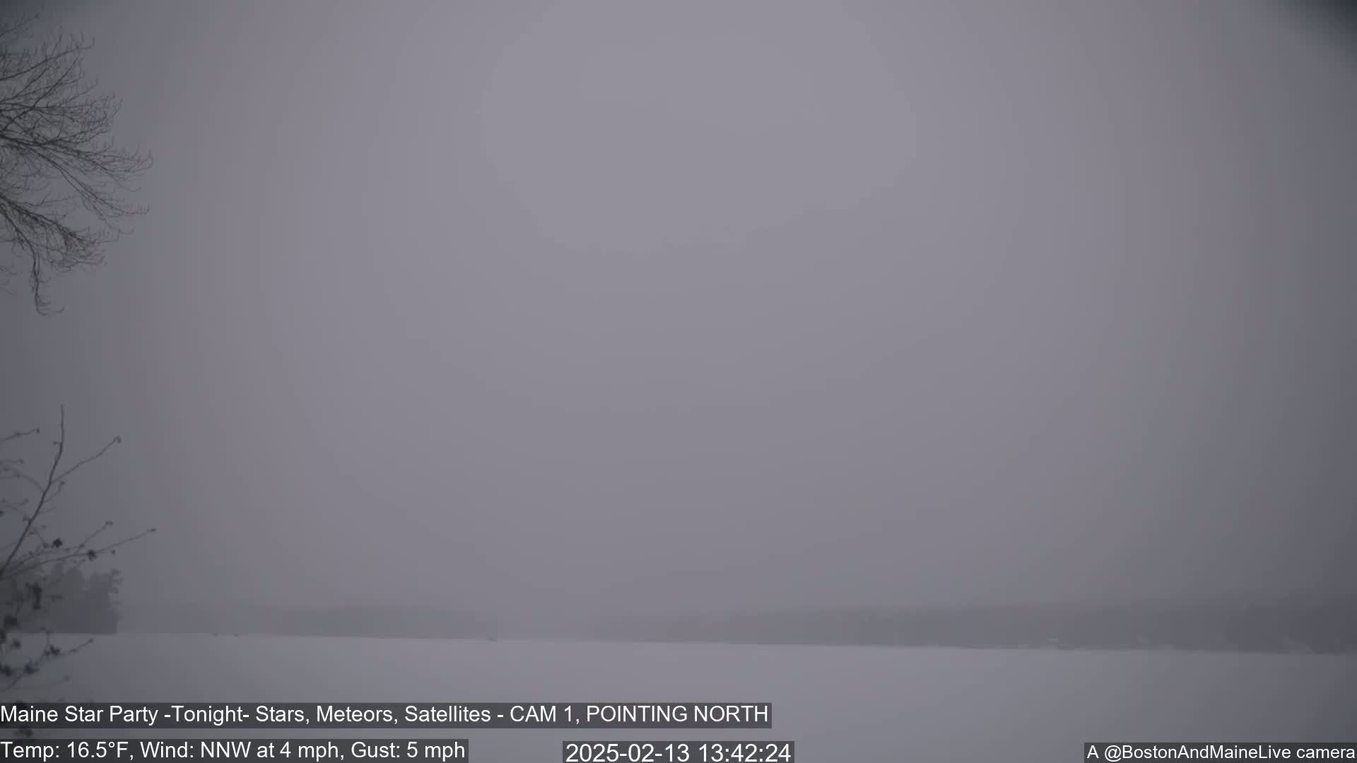 A snow-covered landscape is barely visible through a thick, gray fog under overcast skies.
