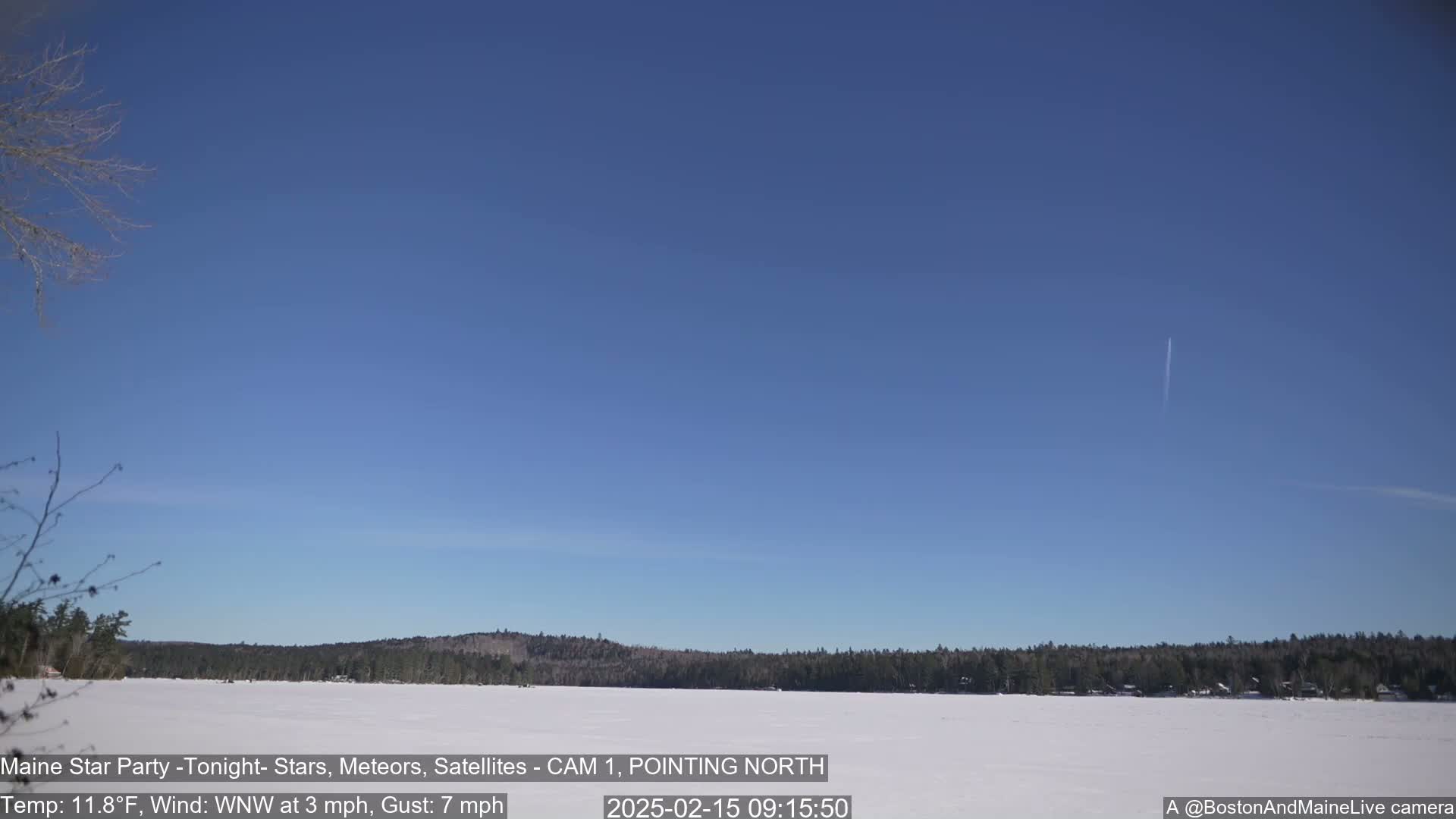 A frozen lake stretches across a wide expanse under a clear blue sky, with a dark treeline visible in the distance.