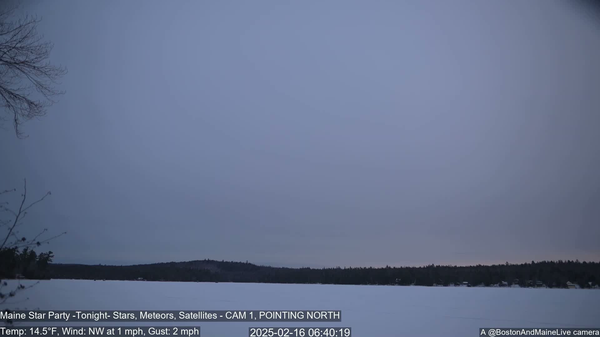 A frozen lake is visible under a dusky, overcast sky, with a dark treeline in the background.