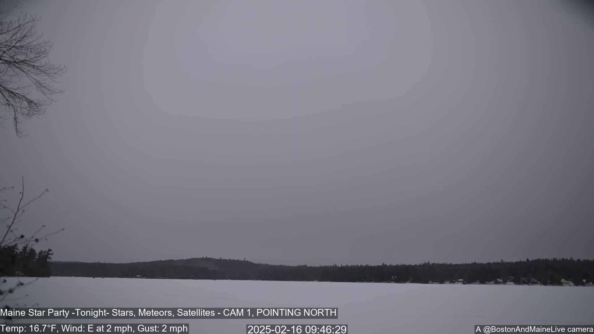 A snow-covered lake is seen under an overcast sky, with bare trees and a dark treeline in the background.