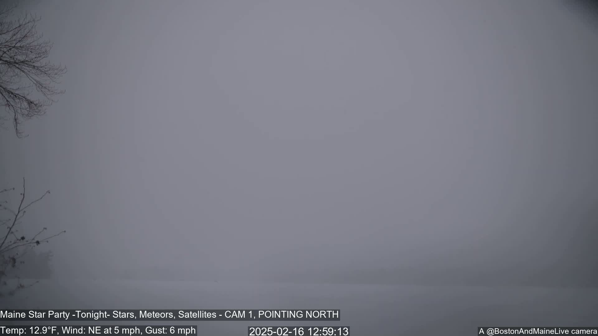 A snow-covered landscape is visible through a thick fog under a gray sky.