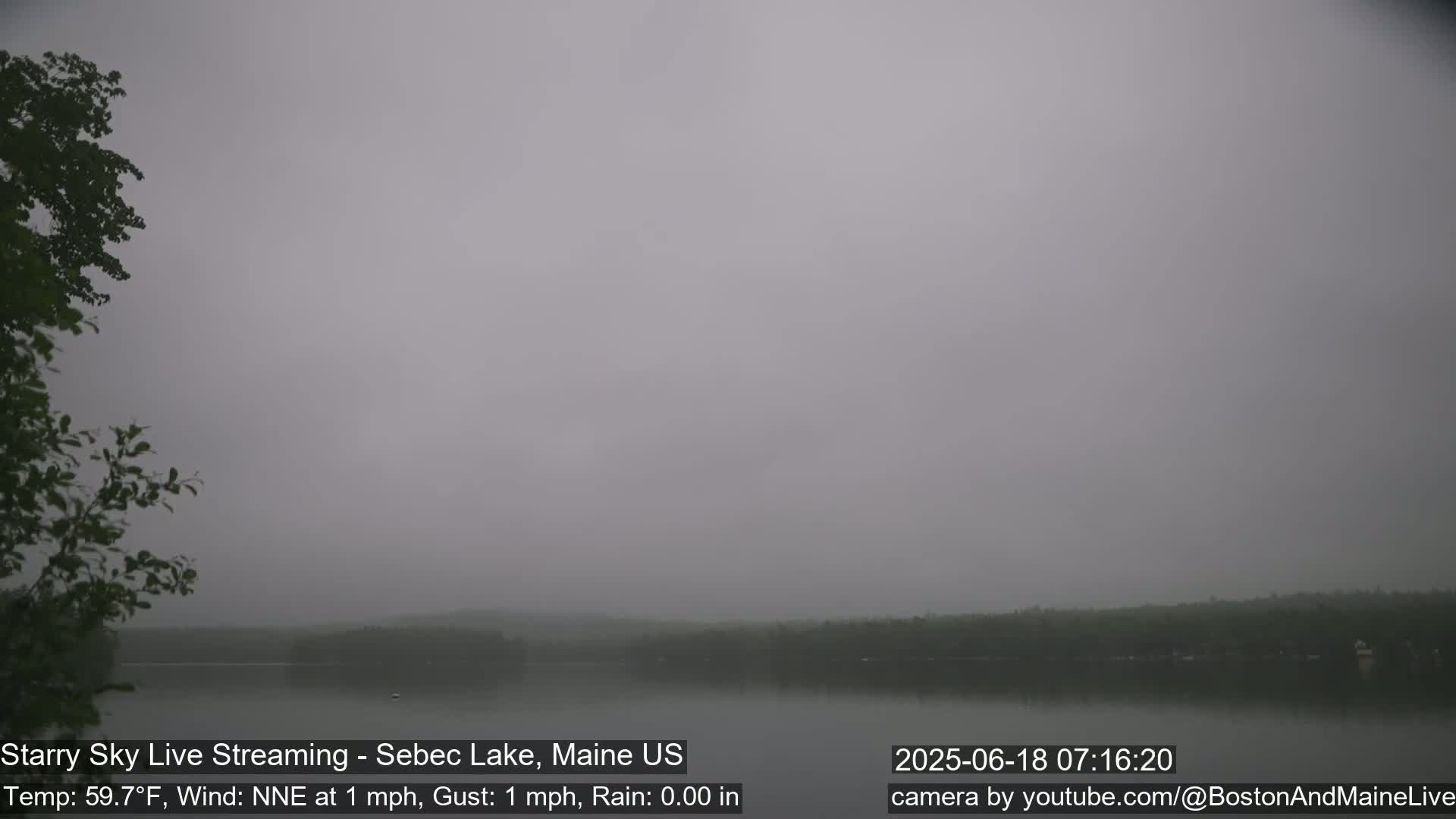 A foggy lake is visible, with trees on the left and a shoreline in the distance.