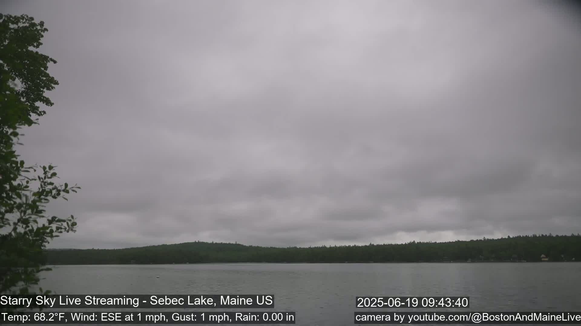A calm lake is seen under an overcast sky, with trees lining the far shore.