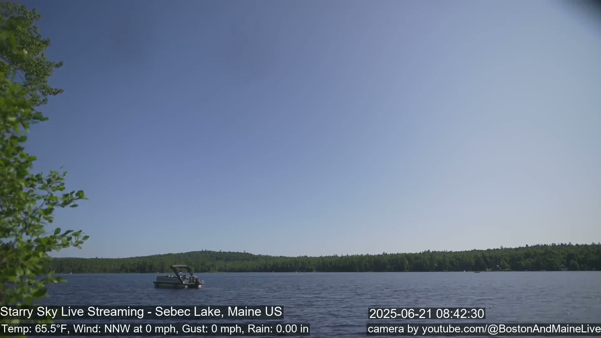 A pontoon boat sits on a calm lake under a clear blue sky, surrounded by a dark green forested shoreline.