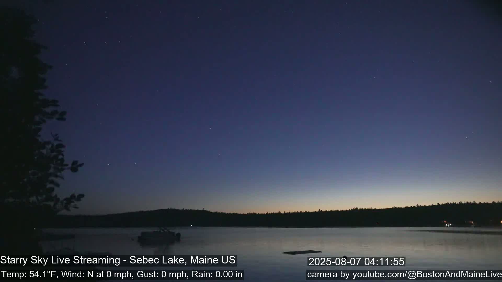 A calm, starry night scene over a lake, with a dark tree silhouette to the left and a dark treeline across the far side, under a clear, dark sky.