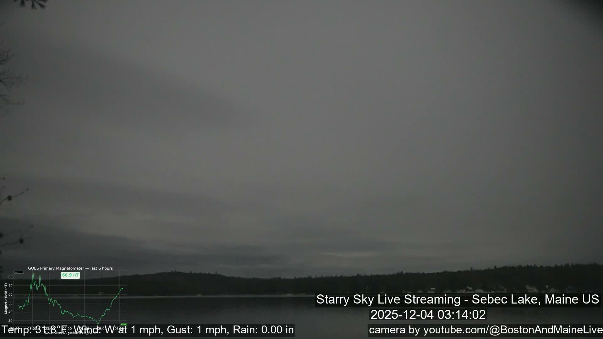 A calm body of water reflects a heavily overcast, gray sky, with a dark, tree-lined shore stretching across the horizon in the dim, overcast conditions.