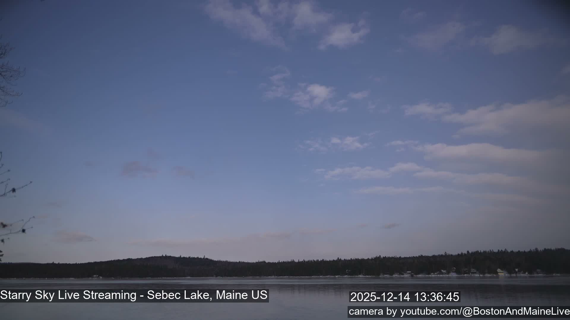 A calm body of water reflects a heavily overcast, gray sky, with a dark, tree-lined shore stretching across the horizon in the dim, overcast conditions.