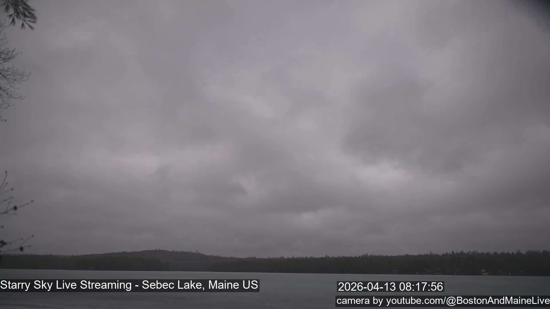A calm body of water reflects a heavily overcast, gray sky, with a dark, tree-lined shore stretching across the horizon in the dim, overcast conditions.