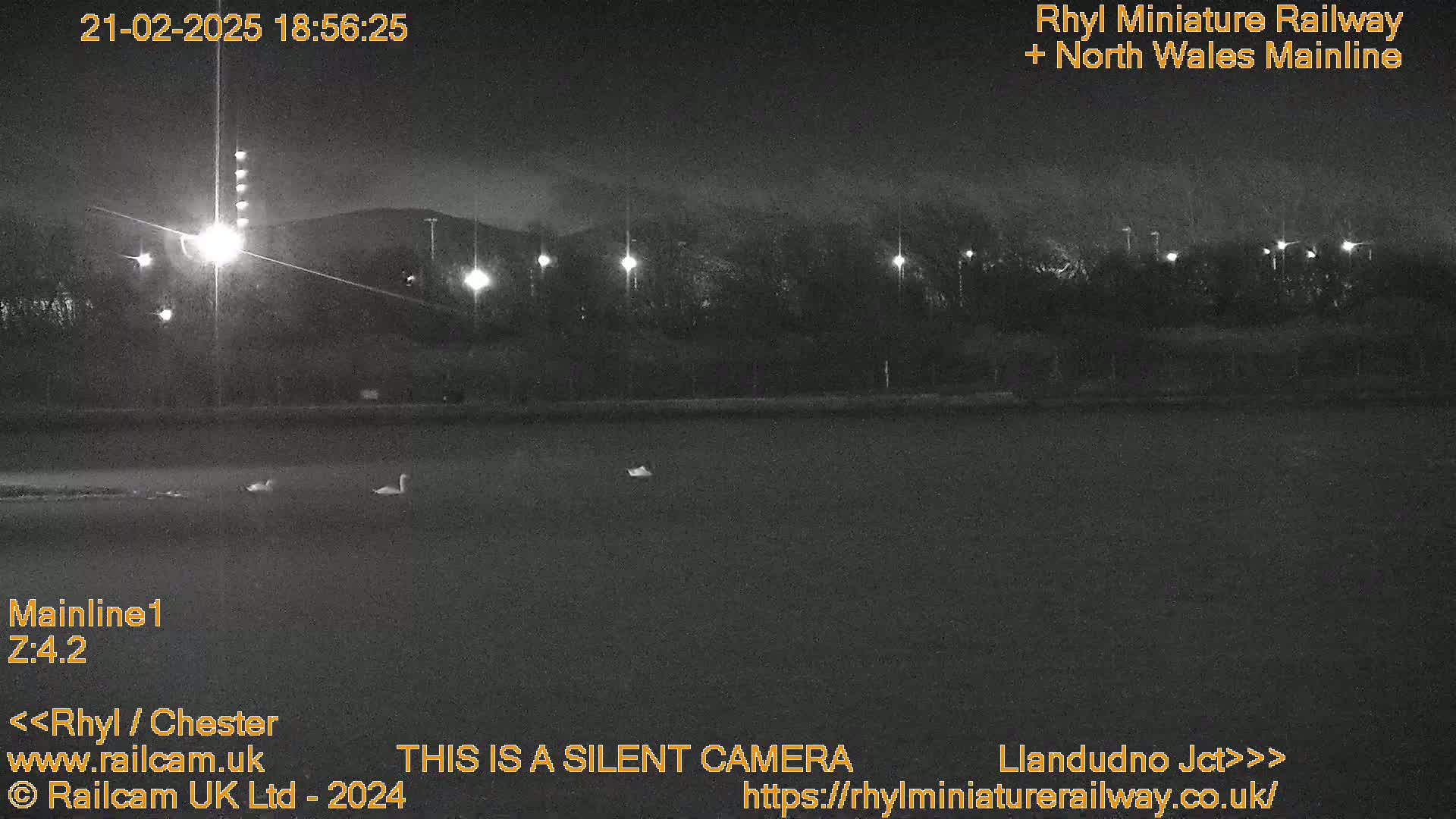 A nighttime, low-light view of a dark body of water with a few birds near the shore, beyond which are dimly lit trees and a hill in the distance.