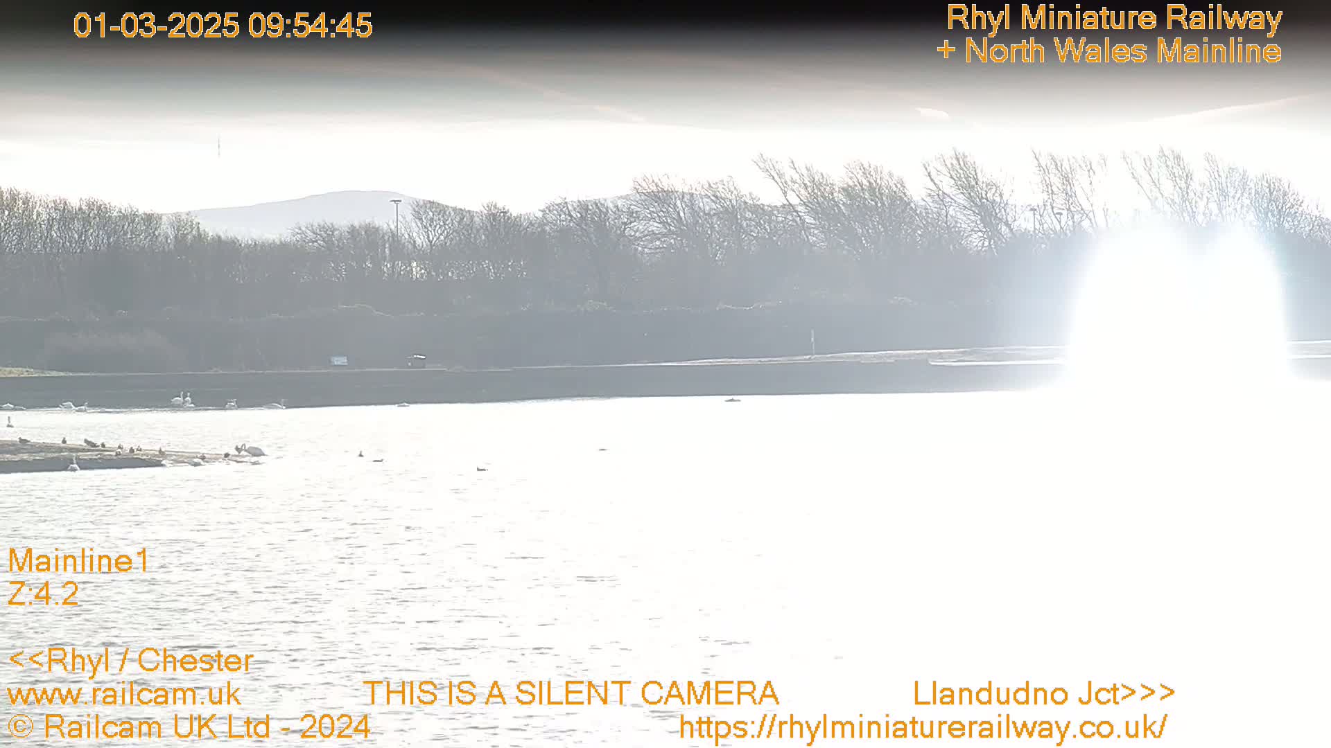 A hazy, bright body of water is visible, with a few birds near the shore and trees and hills in the background.