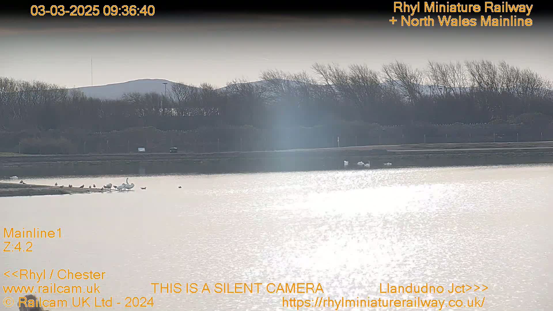 A calm body of water reflects sunlight, with several birds, including swans, near the shore, and a treeline and distant hills in the background under a bright, mostly clear sky.