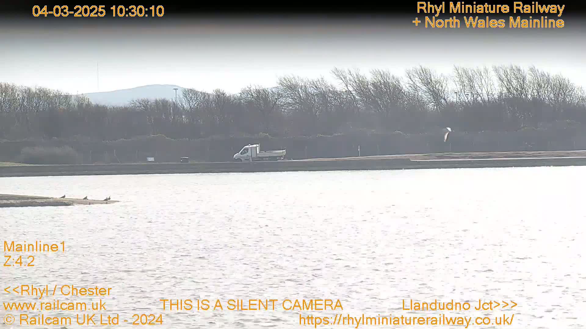 A white pickup truck is driving along a road next to a body of water under an overcast sky.