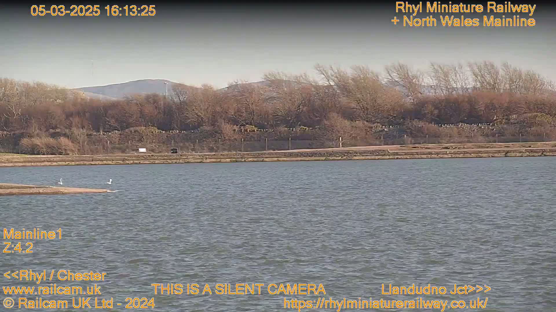 A body of water is seen with a few birds near the shore, beyond which is a line of trees and hills under a mostly clear sky.