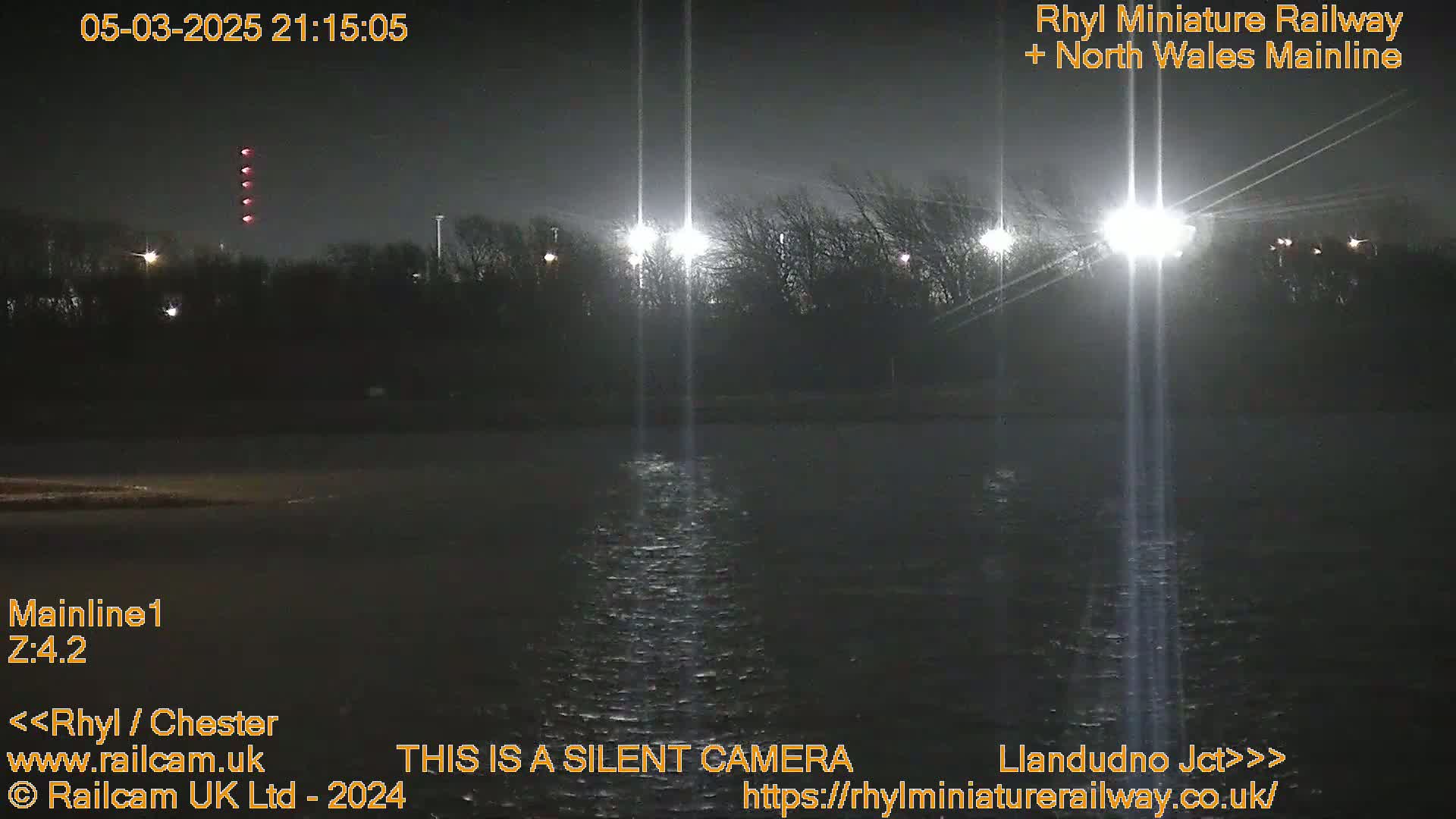 A nighttime view of a dark body of water reflecting bright lights from tall light posts behind a line of dark trees.