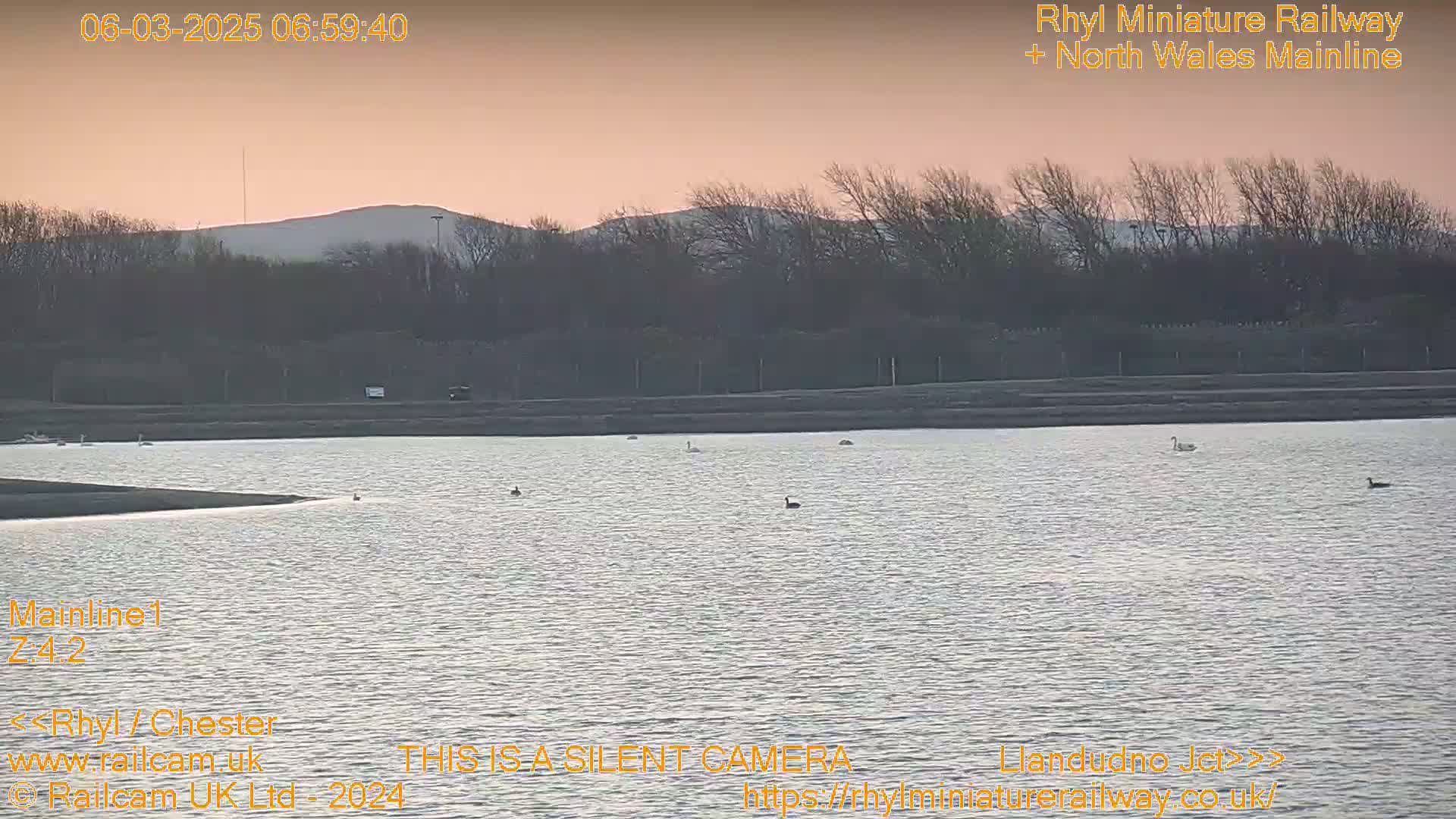 A calm body of water with several birds on it sits in front of a line of bare trees and hills under a pinkish-orange sunrise.