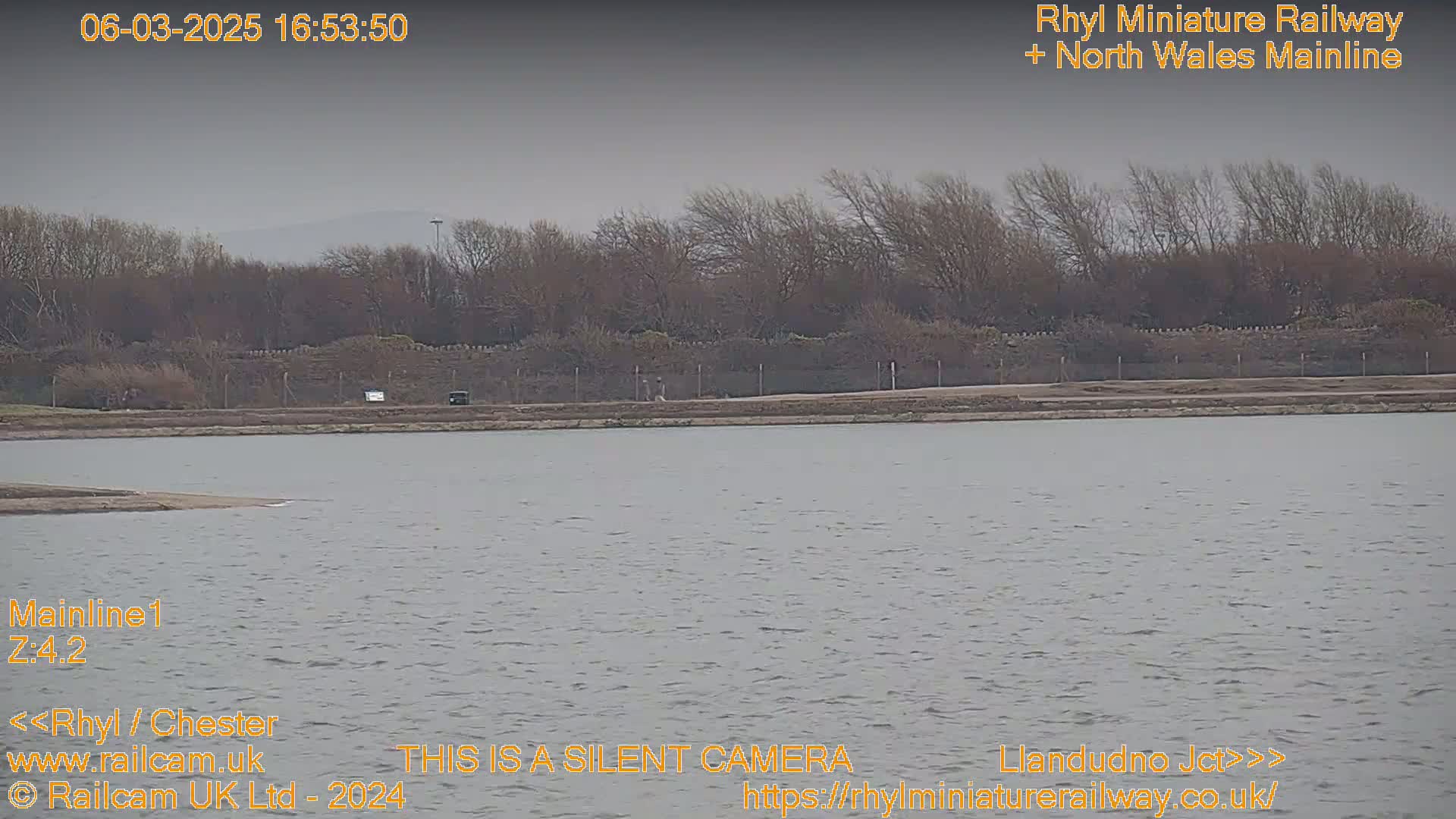 A body of still, gray water stretches out before a shoreline of bare, brown trees under an overcast sky.