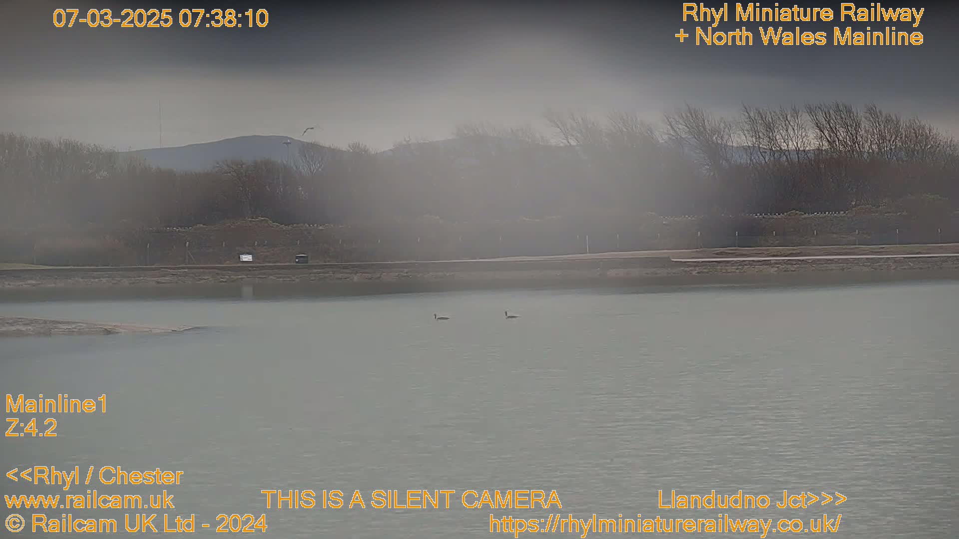 Two birds are visible on a calm body of water, with a hazy or foggy atmosphere and distant hills in the background.