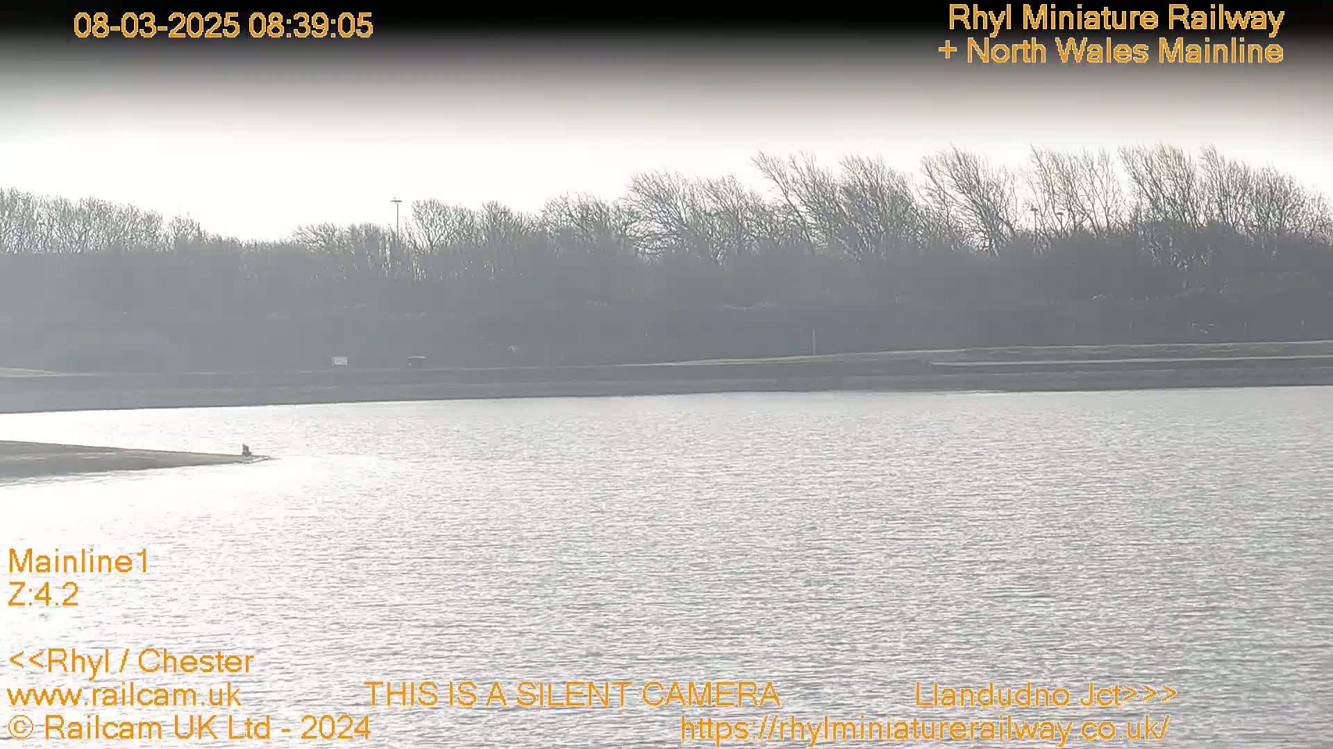 A calm body of water is seen, with a line of bare trees on the opposite shore under an overcast sky.
