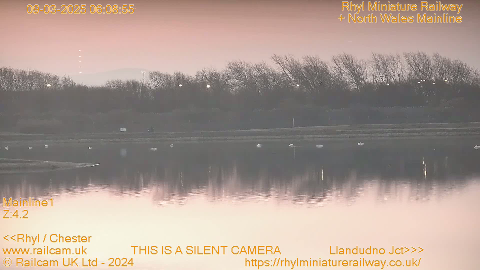 A calm body of water reflects a pale pink sunrise over a line of bare trees.