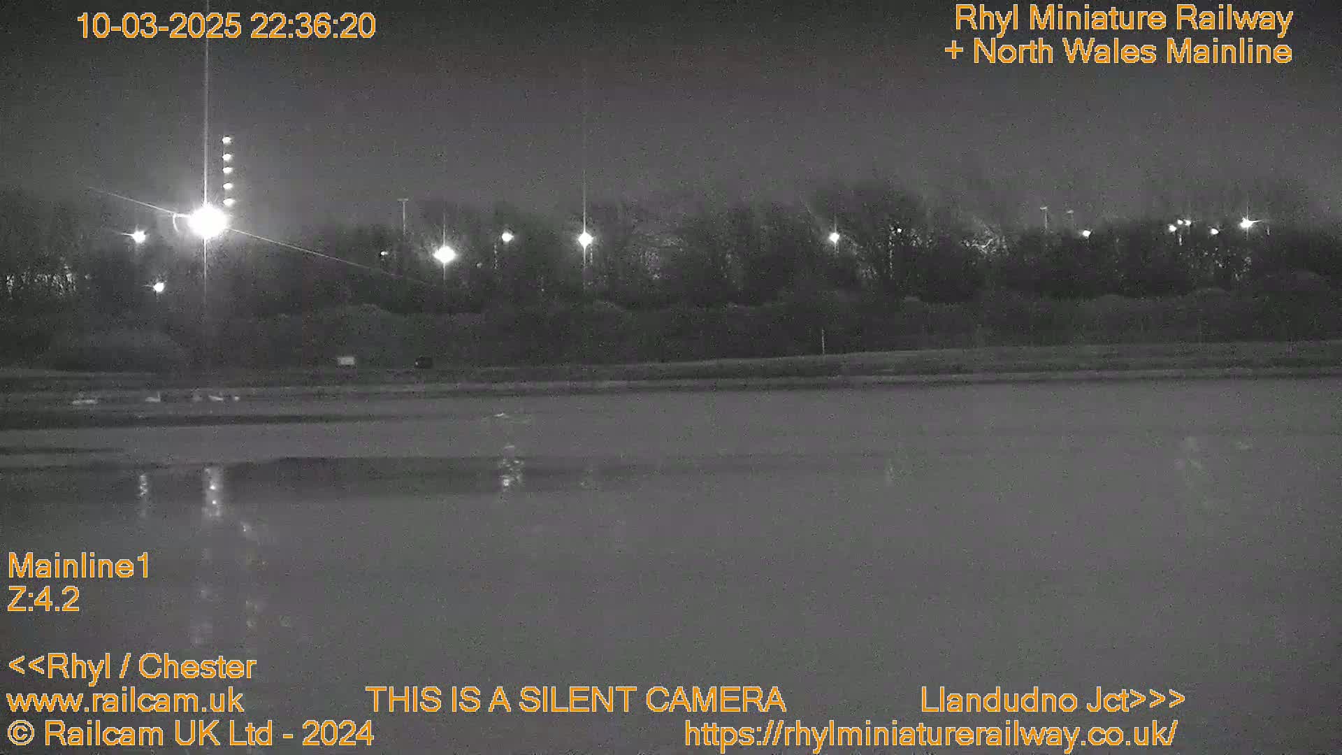 A nighttime, low-light view of a dark body of water reflecting lights from trees and lampposts along a roadway.