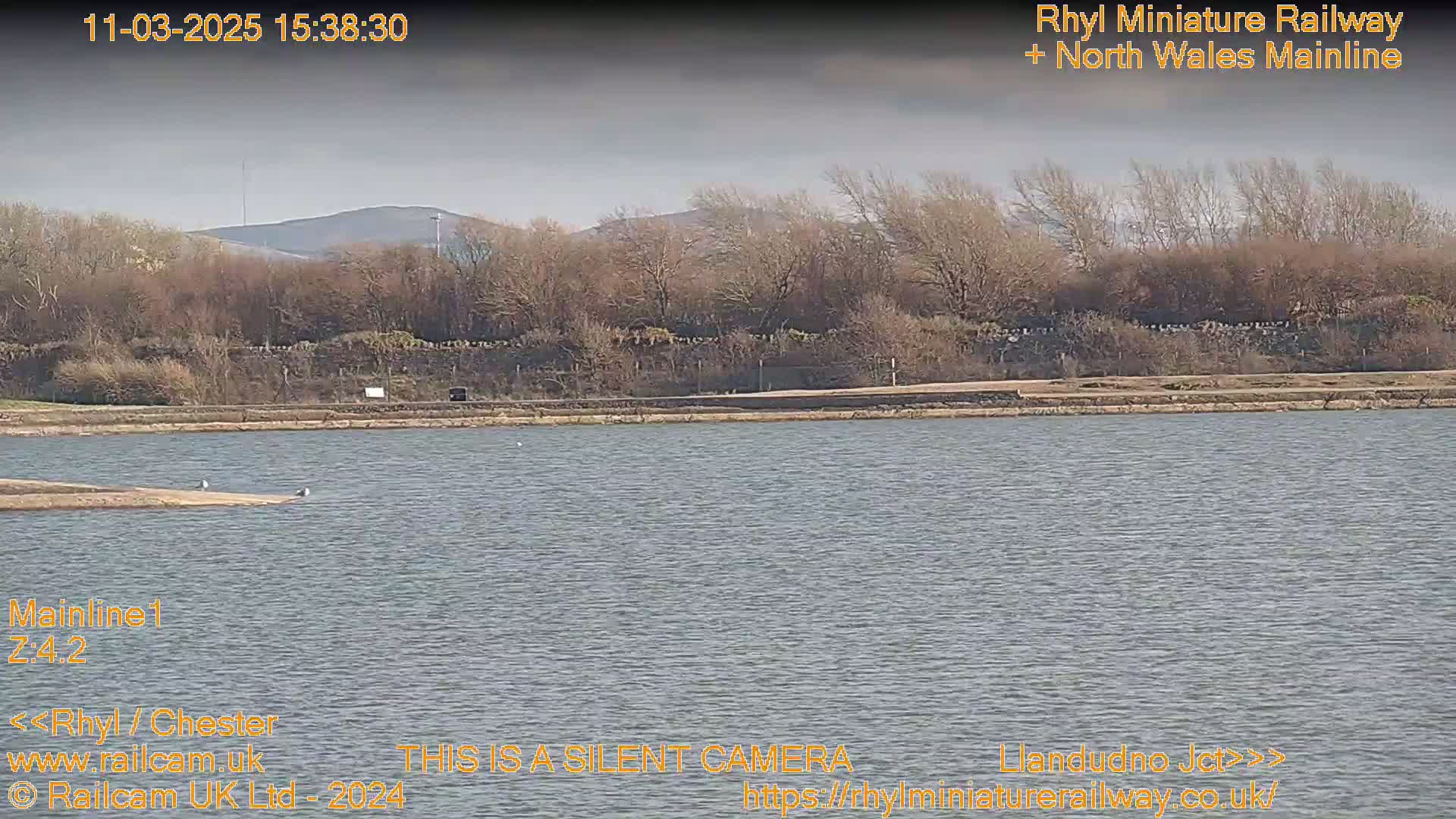 A body of calm water is seen under an overcast sky, with bare trees and hills in the background.
