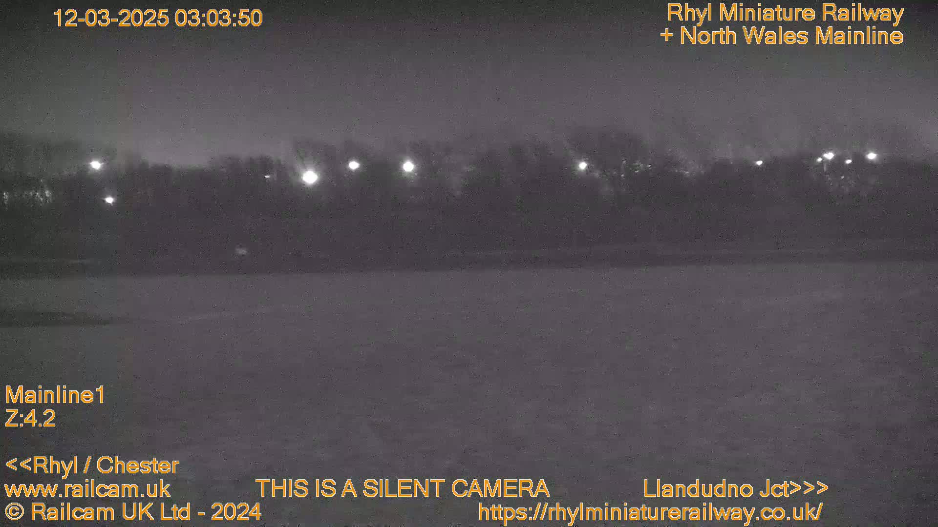 A nighttime view of a dark, flat area with a line of trees and distant lights under a mostly clear sky.