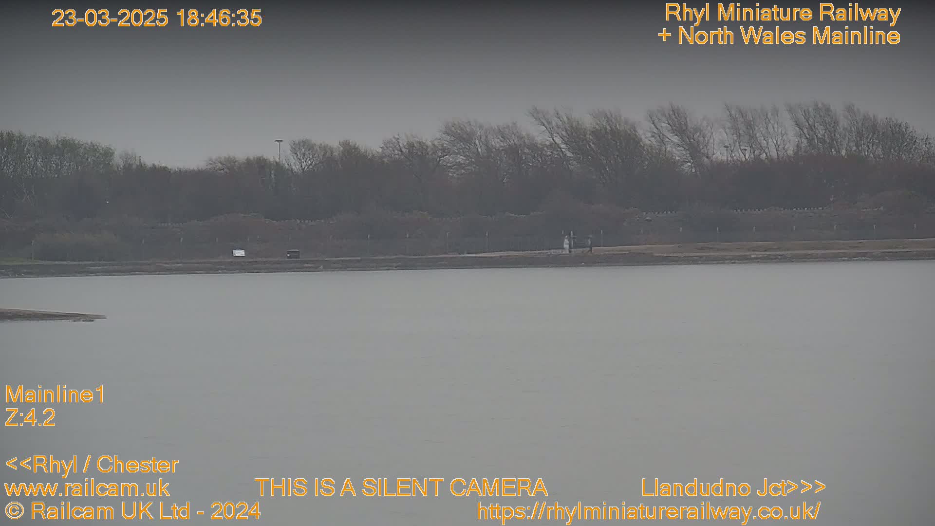 A body of still, gray water sits before a line of bare, winter trees under an overcast sky.