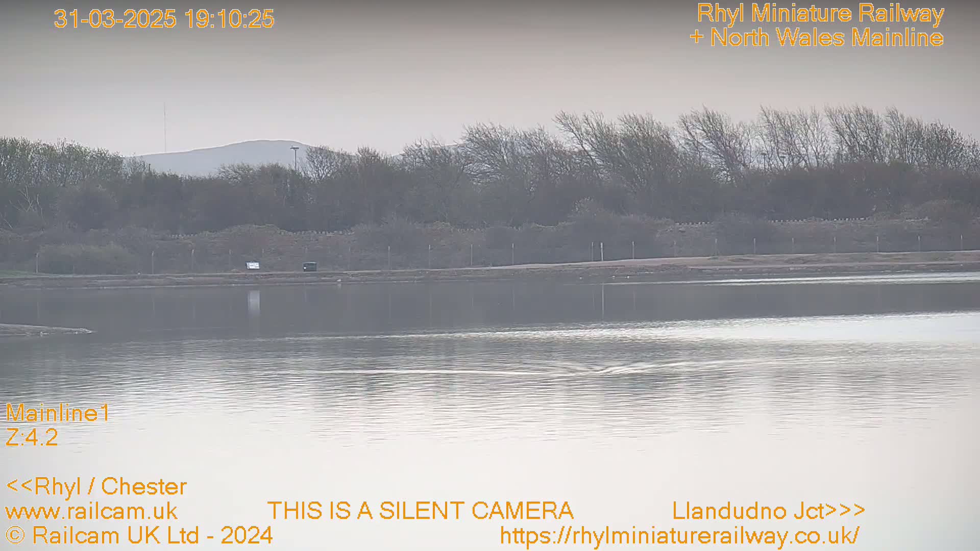 A calm body of water sits before a line of trees and a distant hill under an overcast sky.