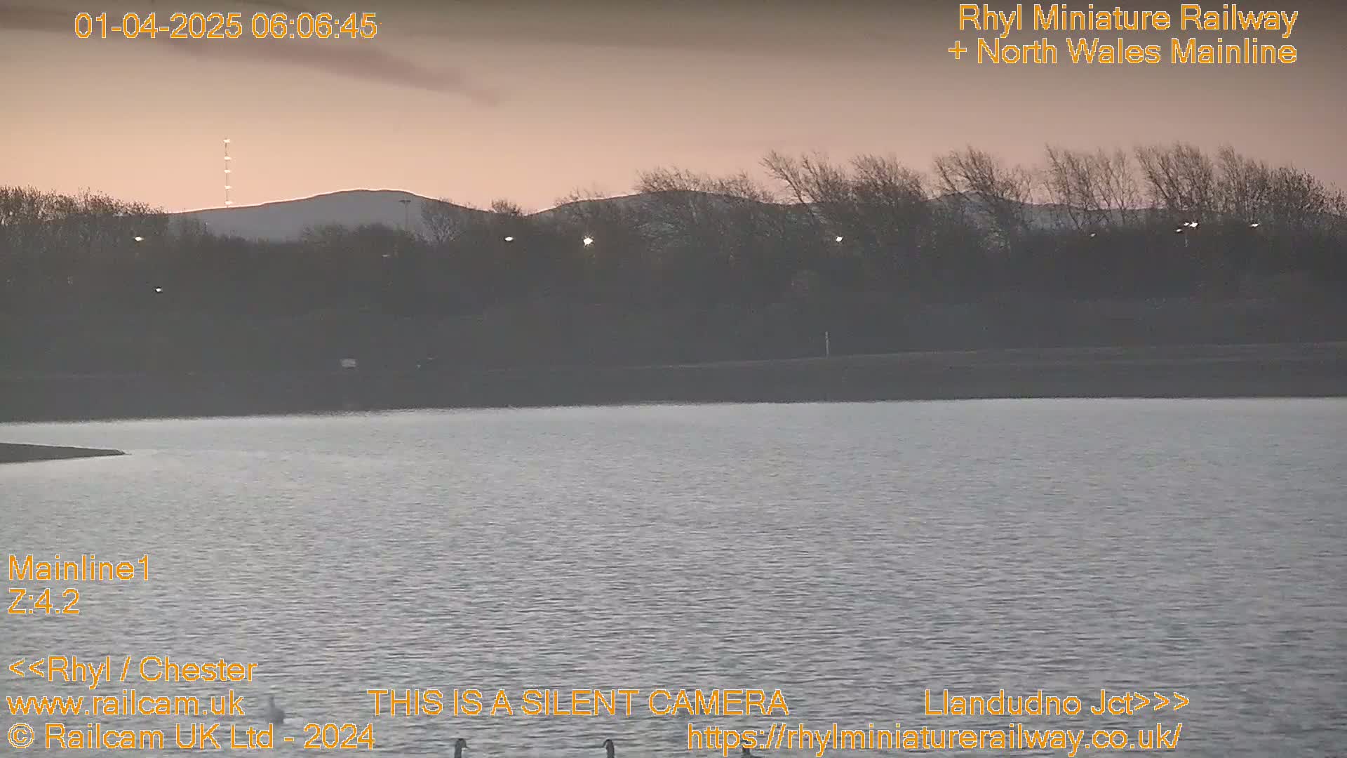 A calm body of water is visible under a pale pink and orange sunrise, with dark trees and distant hills in the background.