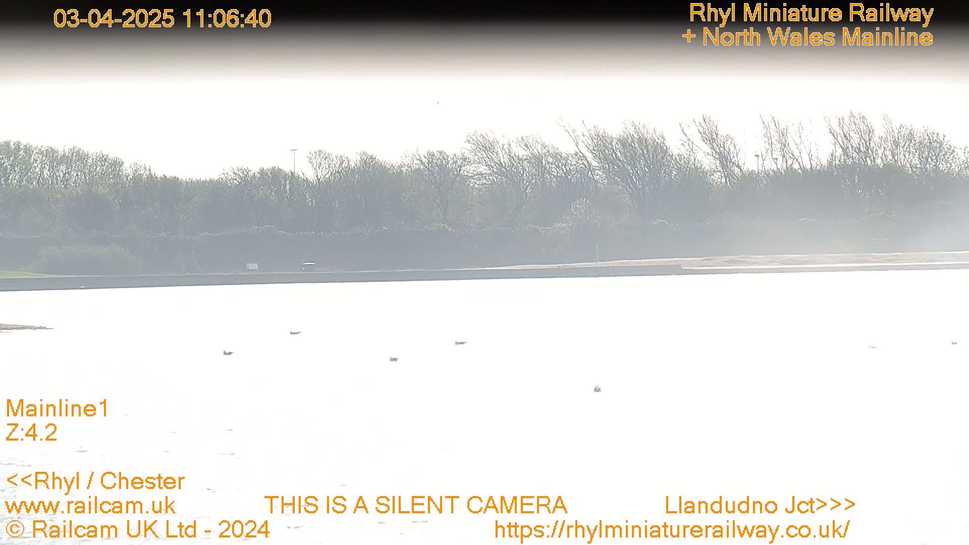 A hazy view of a calm body of water with a few birds visible, bordered by a line of trees and shrubs on the opposite shore.