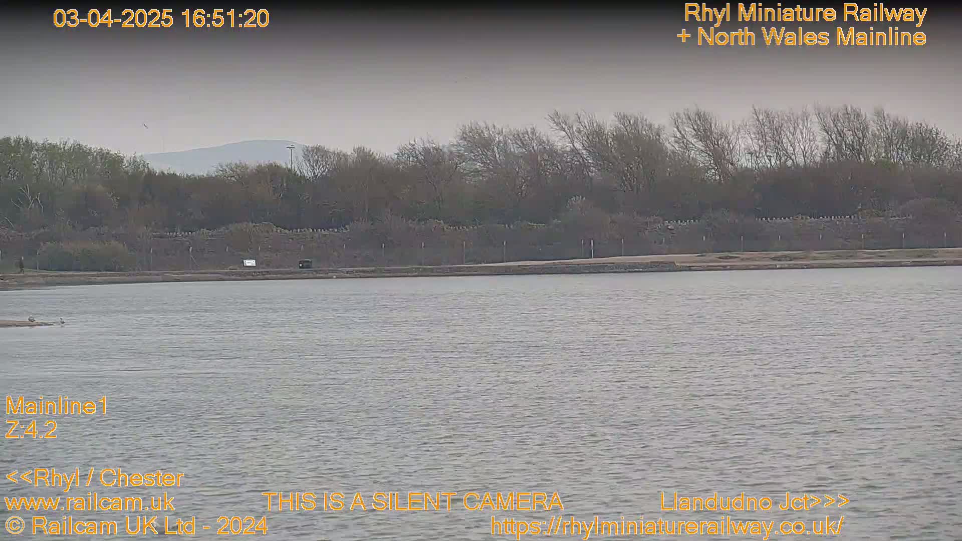 A body of calm, gray water stretches out before a line of bare trees and distant hills under an overcast sky.