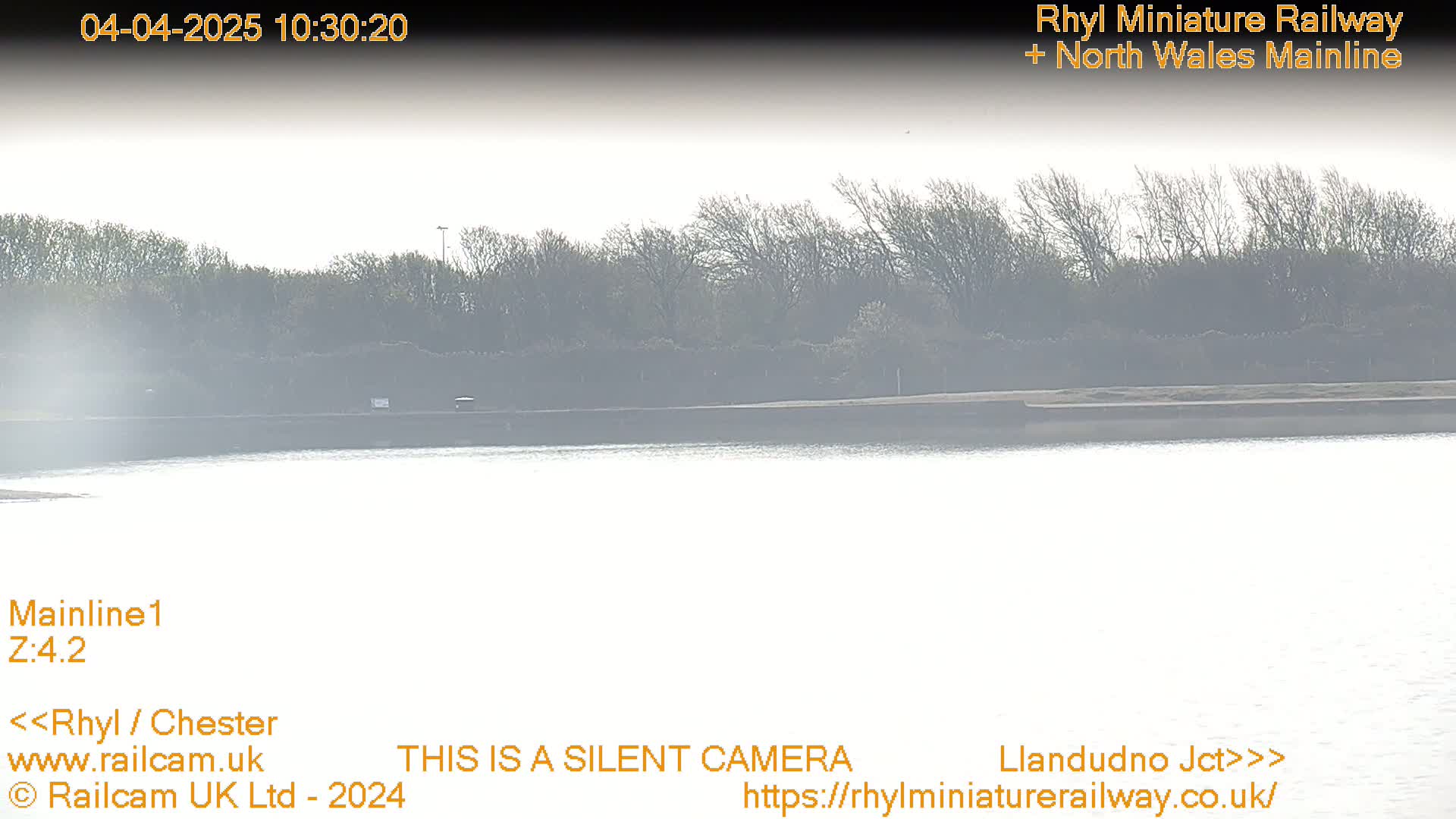 A hazy view of a calm body of water with a line of trees and shrubs in the background.