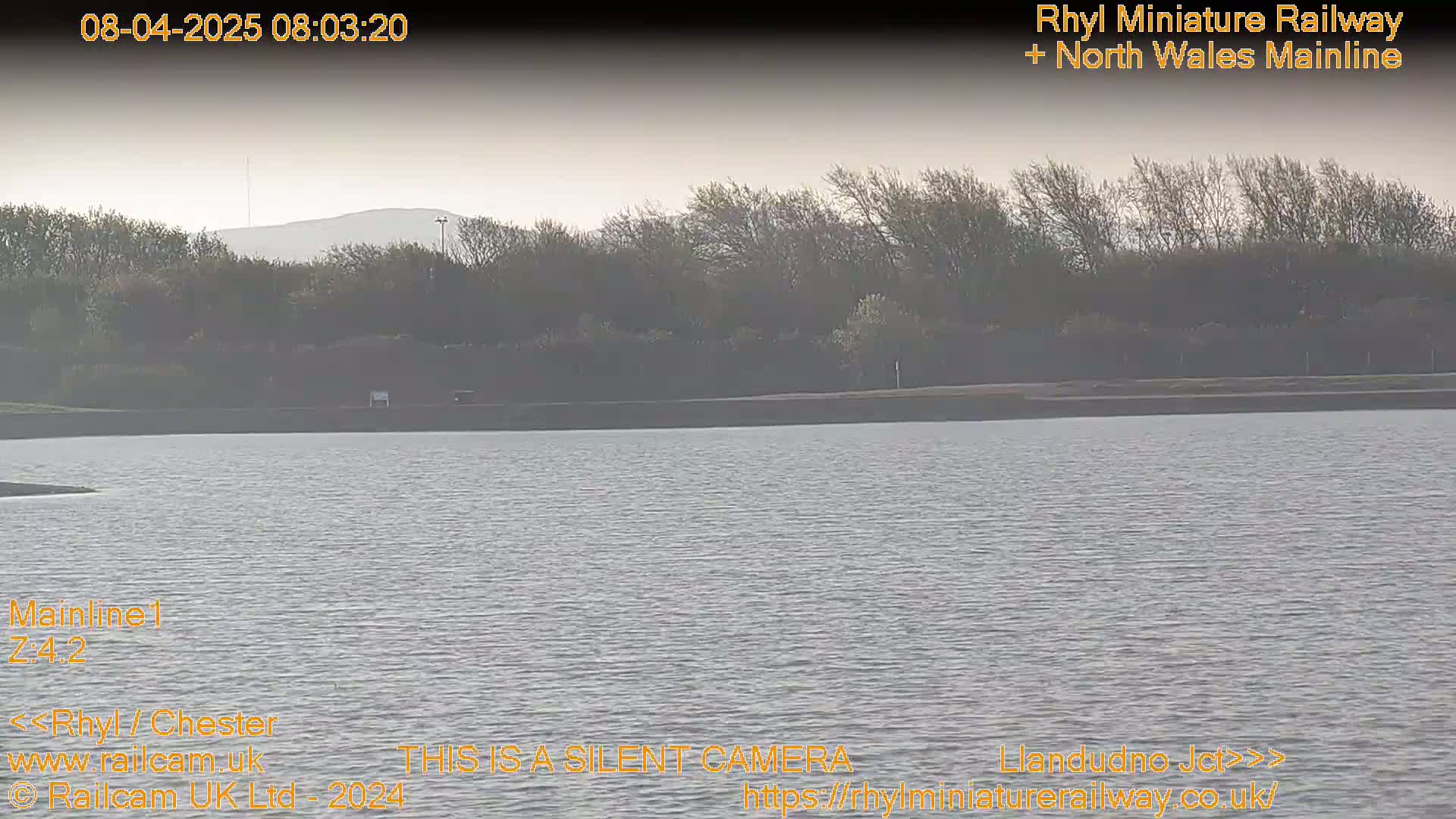 A calm body of water stretches out before a line of trees and a hazy hill in the distance under a muted sky.
