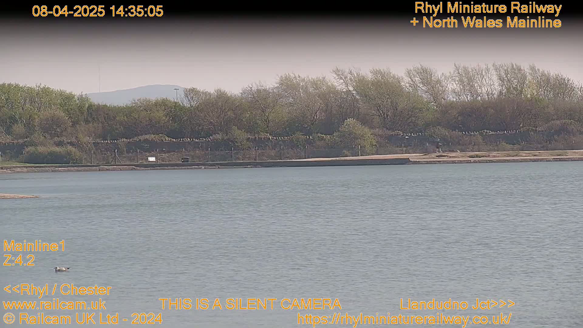 A body of calm water stretches out before a line of trees and shrubs under a hazy sky.