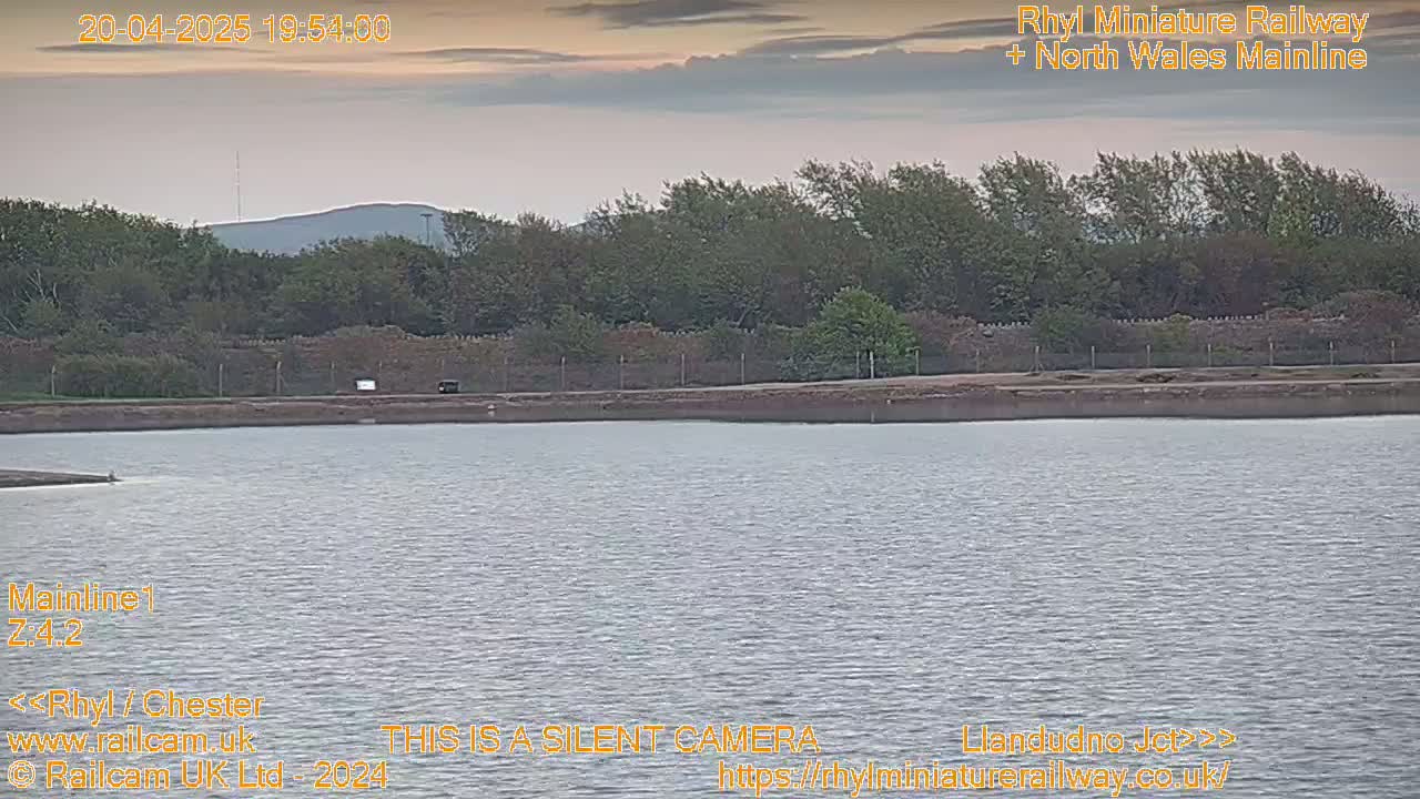 A calm body of water sits before a line of trees and a distant hill under an overcast sky.