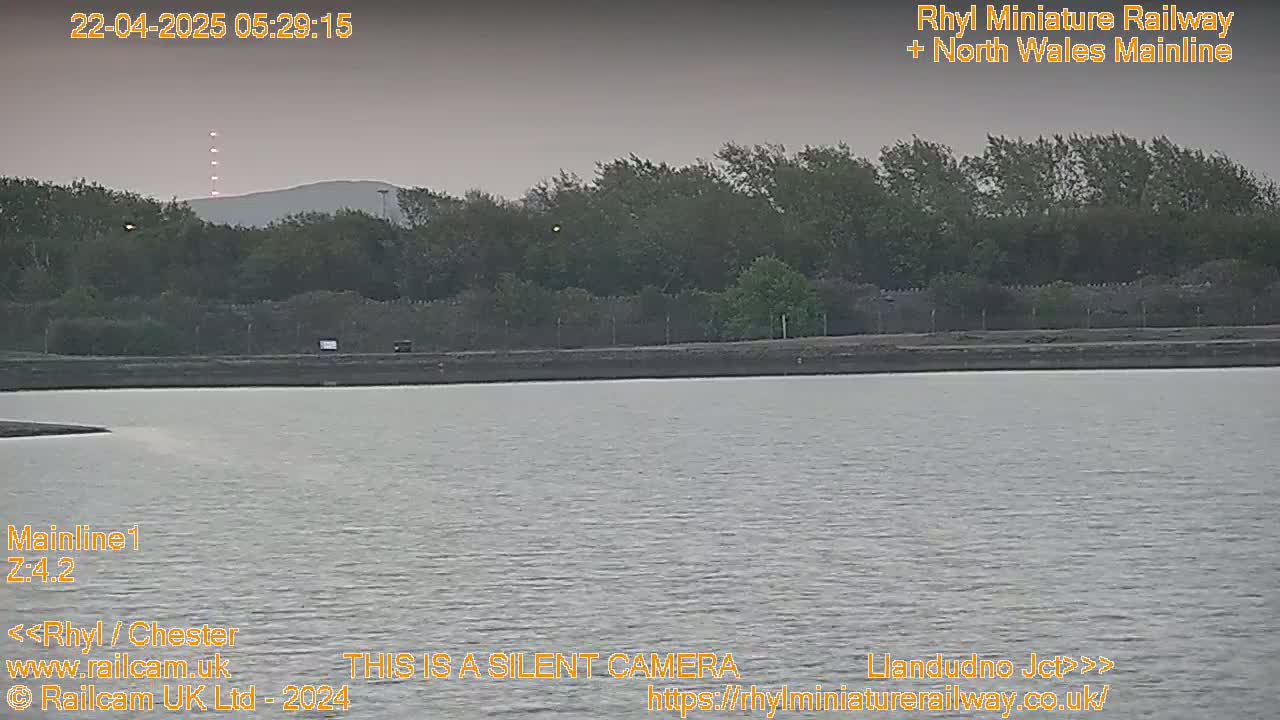 A calm body of water lies before a line of trees and a distant hill under an overcast sky.