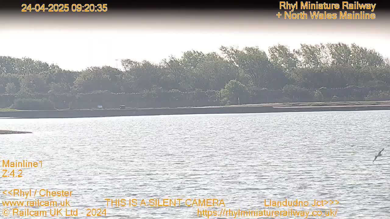 A calm body of water stretches before a line of trees under a hazy sky.