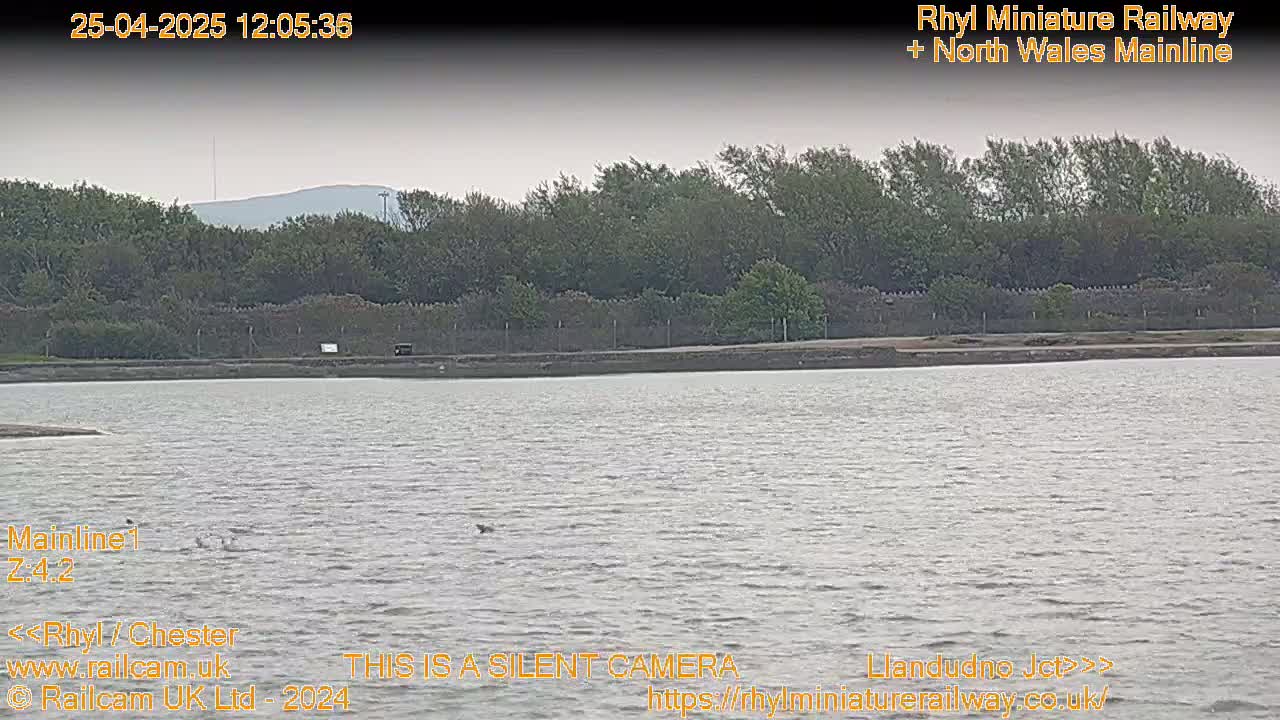 A calm body of water stretches out before a line of trees and a low stone wall under an overcast sky.