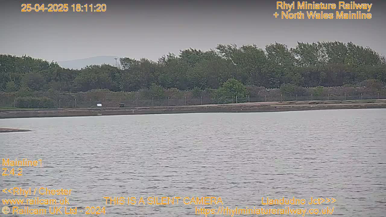 A body of calm, gray water sits before a line of dark green trees under an overcast sky.