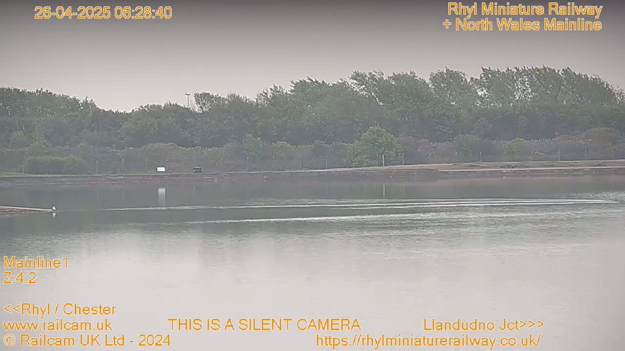 A hazy view shows a calm body of water reflecting a line of trees under a muted sky.