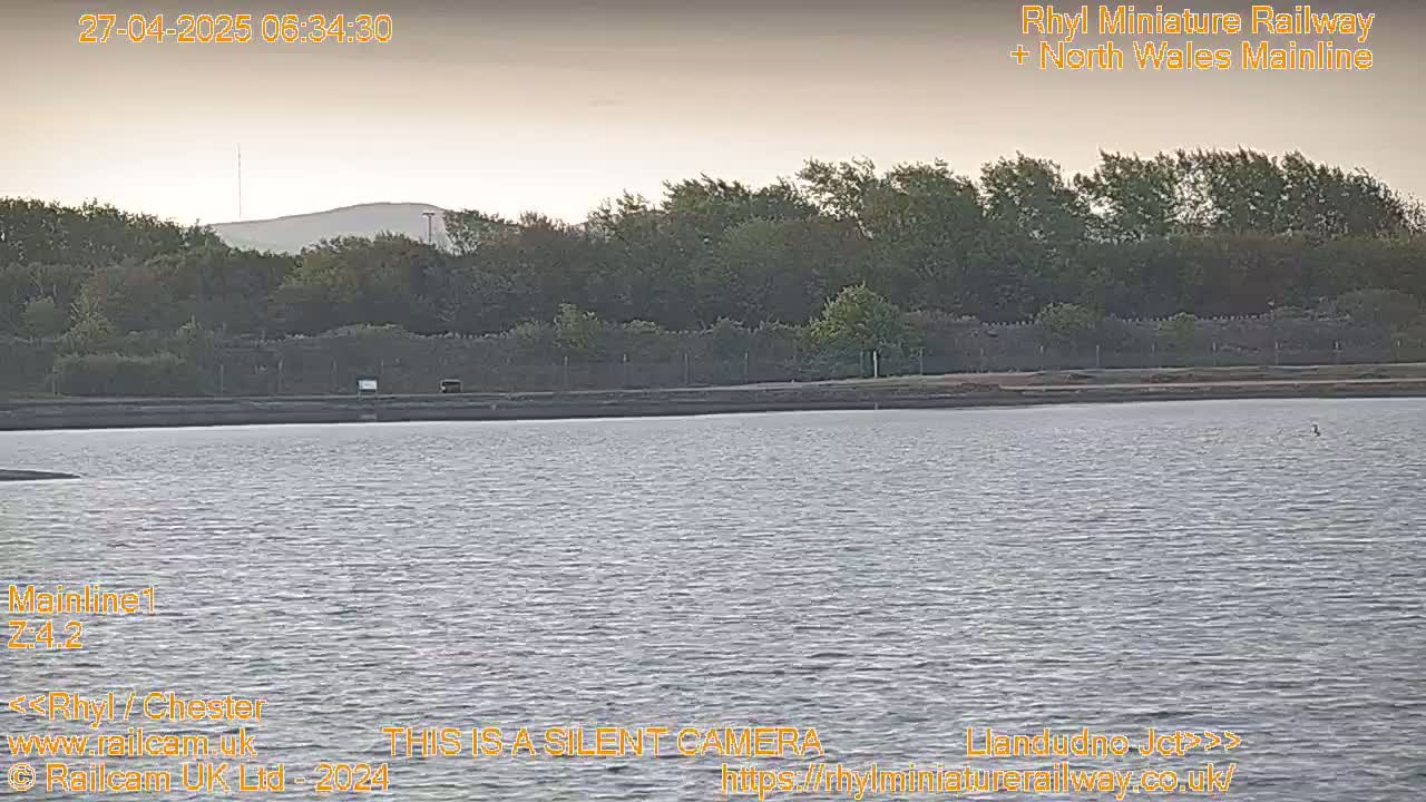 A calm body of water sits before a line of trees and a distant hill under a pale, overcast sky.