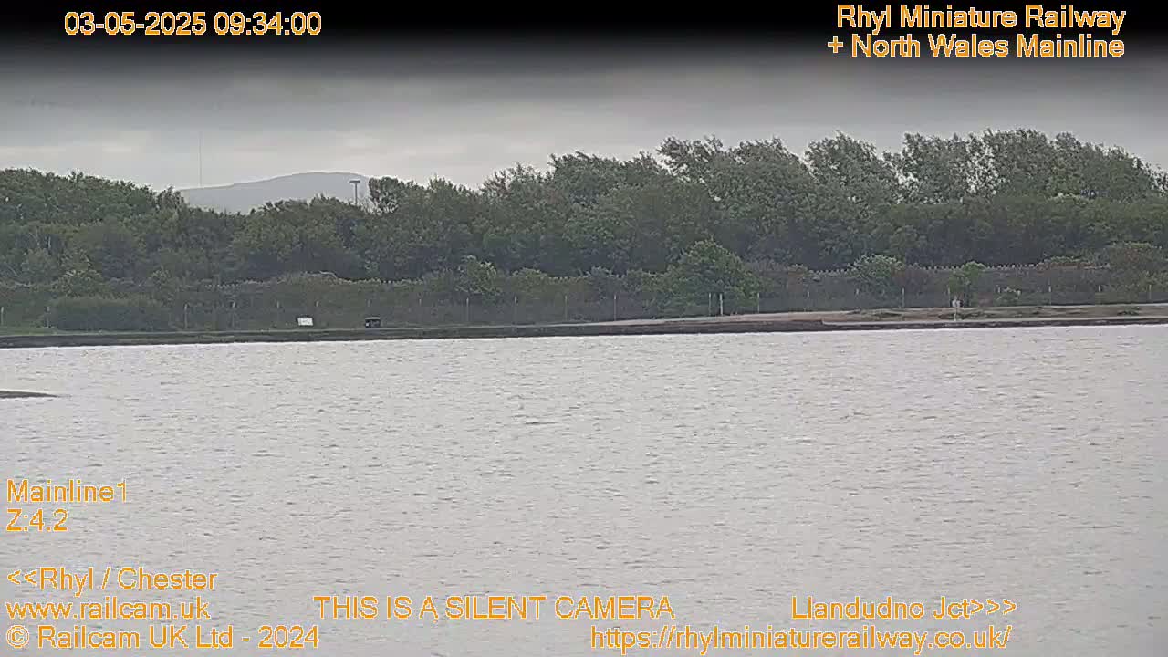 A body of relatively calm water is seen, with a line of trees and a distant hill visible under an overcast sky.