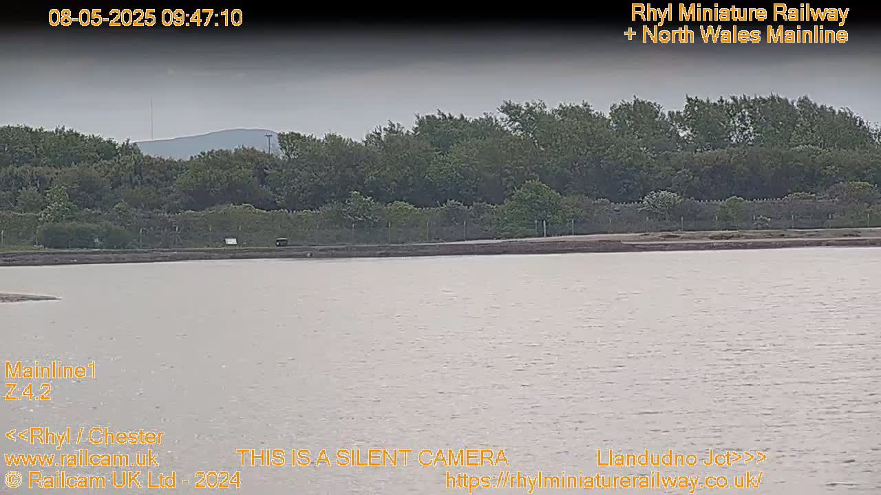 A body of calm, gray water sits in front of a line of dark green trees under an overcast sky.
