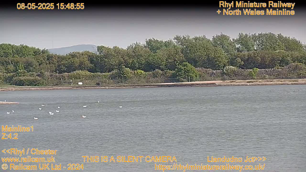 A body of water with a few birds on it, is in front of a line of trees under a mostly cloudy sky.