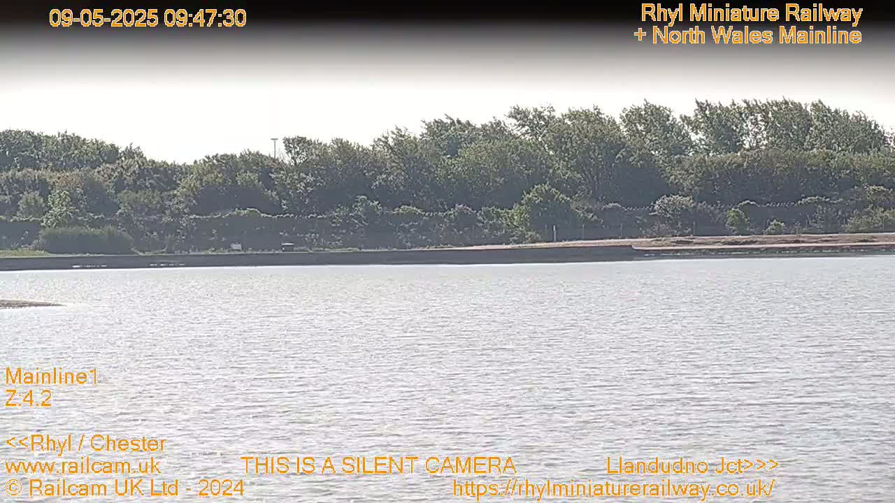 A calm body of water stretches out before a line of trees under a hazy sky.
