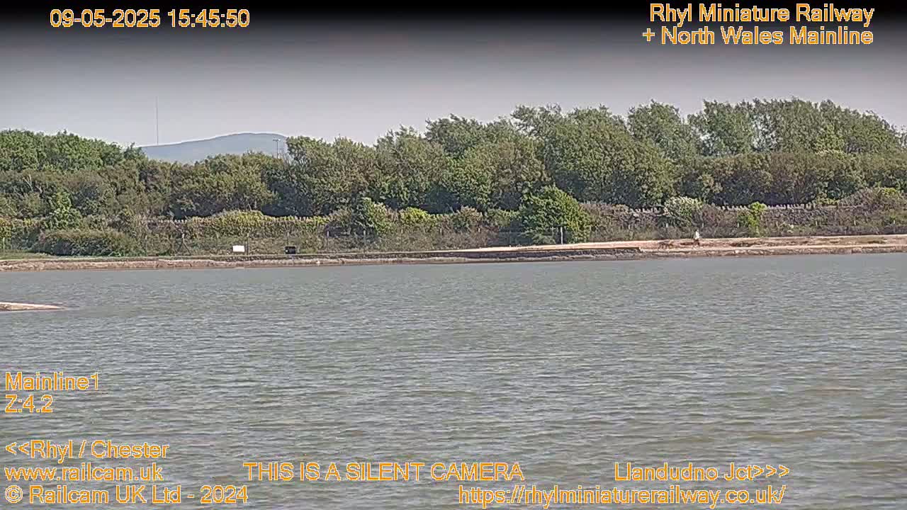A calm body of water stretches out before a line of trees and a distant hill under a light gray sky.