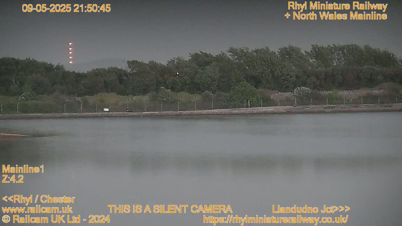 A dark body of water sits before a line of trees under an overcast sky.