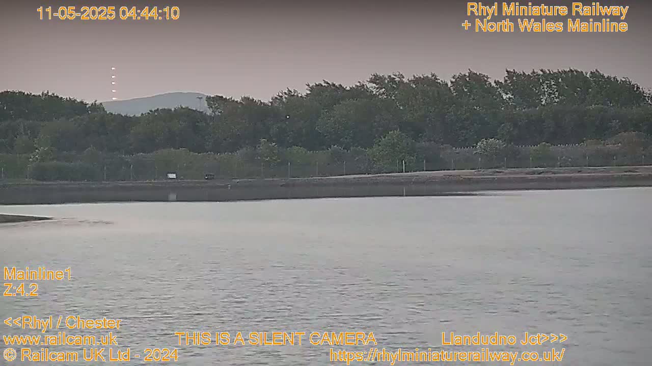 A calm body of water sits before a line of trees and a distant hill under an overcast sky.