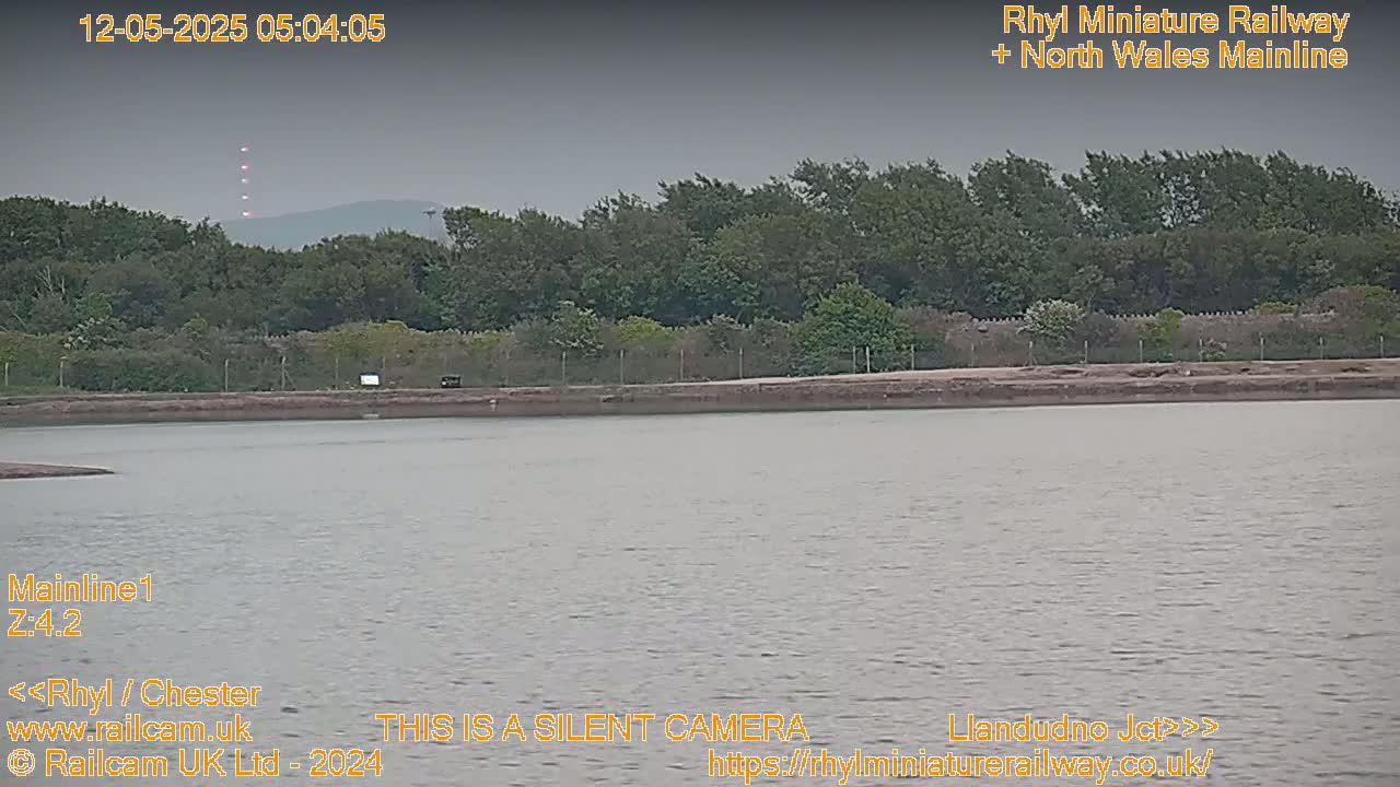 A calm body of water sits before a line of trees under an overcast sky.