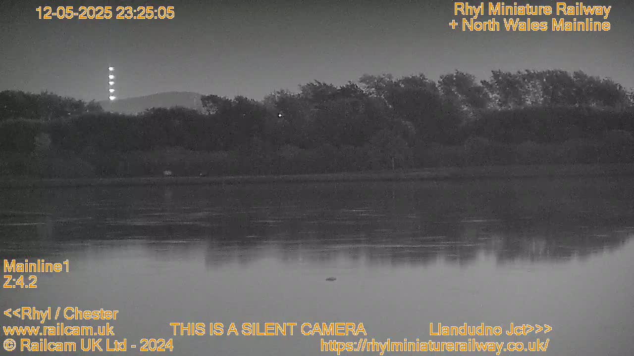 A dark, calm body of water reflects a line of trees under a mostly clear night sky with a distant light source.